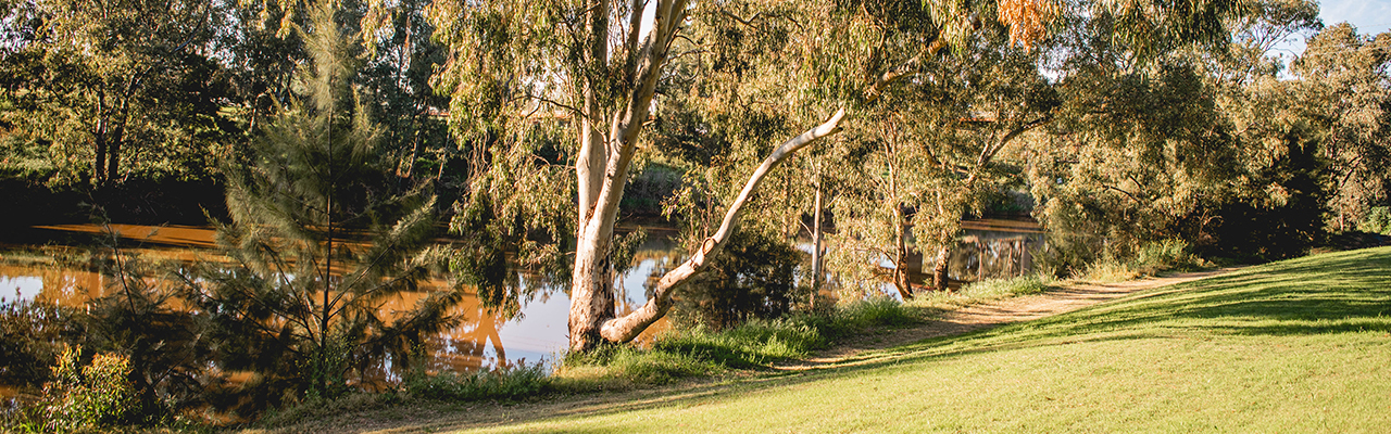 Quick links to the following categories of Dubbo Regional Council's website: maps, traffic and transport; natural environment; water, sewerage and drainage; major works.